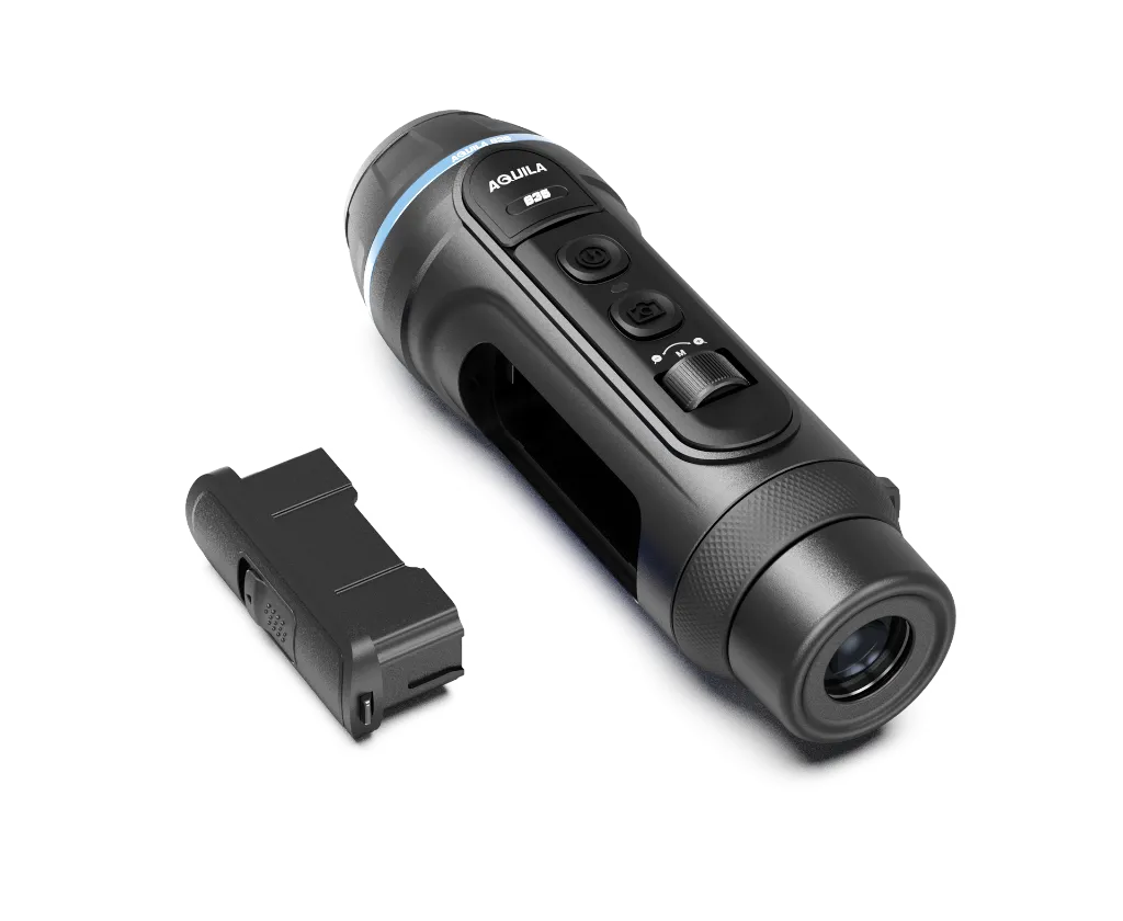 Aquila-3.webp