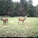 besete-wildkamera-seissiger-aufnahme-03_842x842.webp